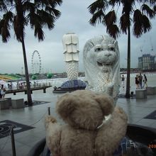 子マーライオンとのツーショット！