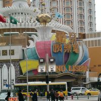 昼は少しださめ