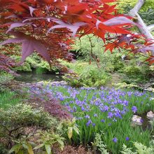 根津美術館　庭園