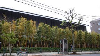 虫に気をつけて