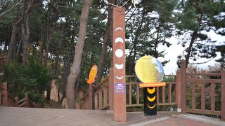 整備された散策路