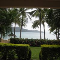 室内から見える風景