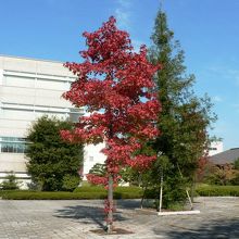 けいはんな学研都市の光景