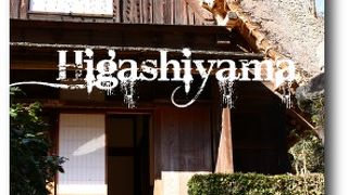 東山植物園の秋冬