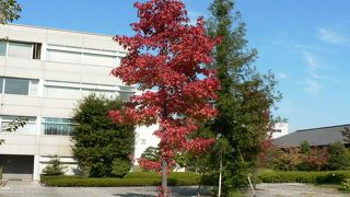 けいはんな学研都市へはJR祝園駅（学研都市線）が便利