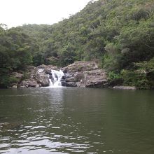 小さな滝と大きな池、その周りは全てやんばるの森です