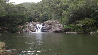 やんばるの森に浸かる