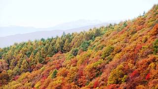 横谷峡(横谷渓谷)