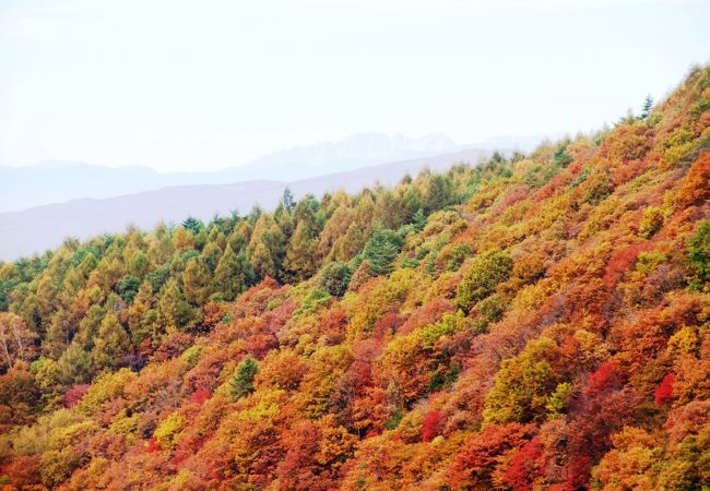 横谷峡(横谷渓谷)