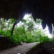 観光地化したネイチャーツアー