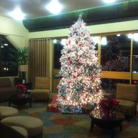 ロビーにあったツリー