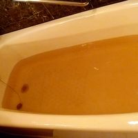 サビ？　お風呂に入る気にならない「色」ですね