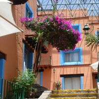 明るい感じです