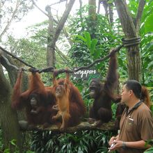 30分以上写真撮影の為にじっとしているのが偉い！