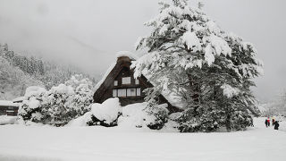 四季折々の白川郷の楽しみ方があるようですが、雪の世界も感動的です。
