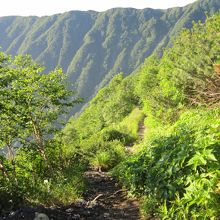 最適のトレイル