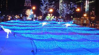 大通公園・・・・・・今はもう雪祭りの準備で大忙しなんでしょうね・・・・・一年を通してイベント開催されていますね。