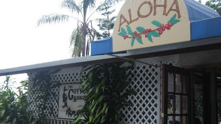 また来ちゃったコーヒー・シャック