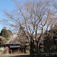 駐車場からの外観?(2012年1月)