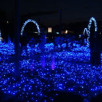 なばなの里まで１０分