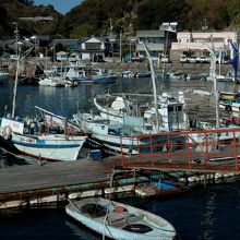 のどかな岡村港