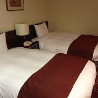 ベットを大きめでよいです。