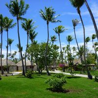 敷地は大変広いです