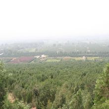 頂上から内苑が見渡せます。