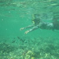 目の前のビーチ。（餌をあげるフリしたら寄ってきました）