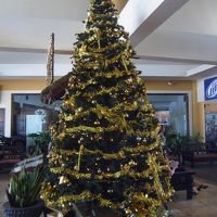 ロビーのクリスマスツリー