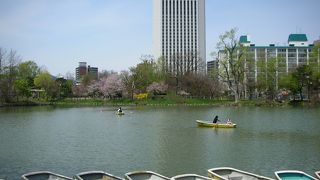 札幌市民が誇る公園