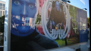 好き嫌いが分かれそうなショー。