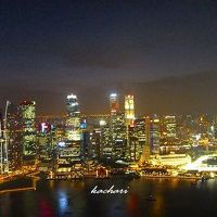 夜景が素晴らしいです