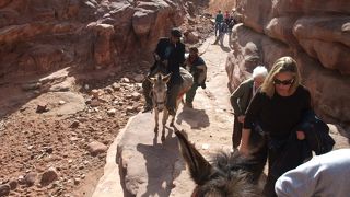 ペトラ遺跡内の乗り物