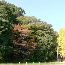 男山・石清水八幡宮周辺の光景