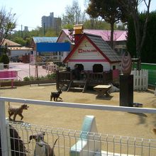 わんわん動物園 ペットふれあい王国 By 桃太郎王子 Ipcわんわん動物園のクチコミ フォートラベル