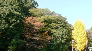 男山・石清水八幡宮の麓にある八幡市駅（やわたしえき）