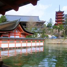 千畳閣と五重塔を背景に建つ厳島神社の社殿