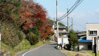十輪寺(なりひら寺)への公共駅、JR向日町駅（むこうまちえき）