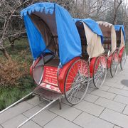 広大な敷地は人力車で楽々