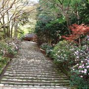 シャクナゲの寺