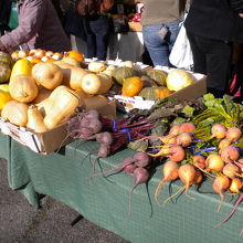 お野菜盛りだくさん！