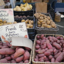 お芋も盛りだくさん！