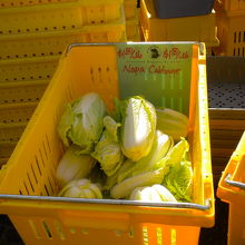 Napa cabbage？どこかで見た野菜。