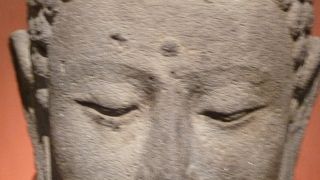 見逃せない博物館