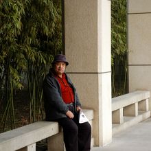 ダイナミックながら長閑な環境