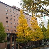 秋冬にはいちょう並木が