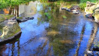水の国☆三島の湧水公園