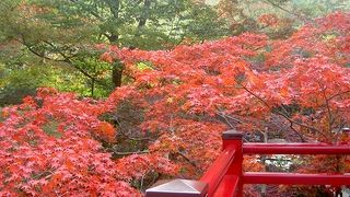 紅葉が美しい弥彦公園