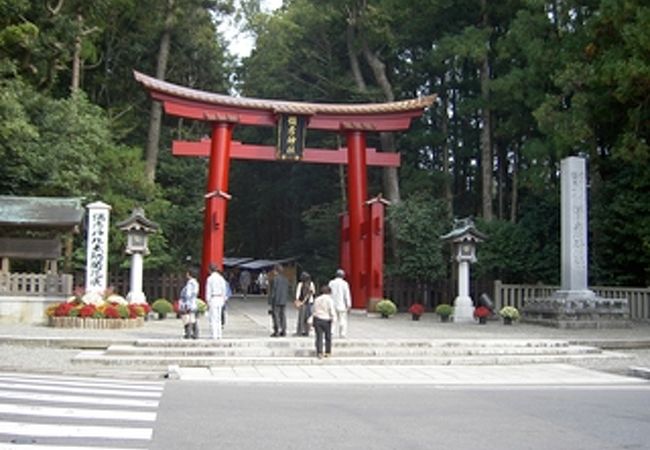 鳥居が目立ちます